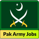 Pakistan Army Defence Security Force