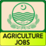 New Government Jobs in Agriculture Department Punjab 2022