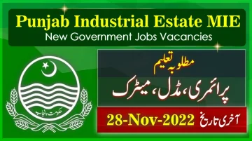 New Govt Jobs in Punjab Board of Management Multan 2022