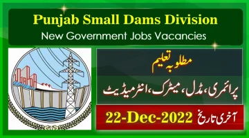New Govt Jobs in Punjab Small Dams Division 2022