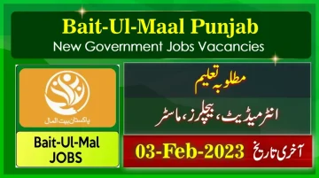 Bait ul Maal New Government Jobs in Punjab 2023