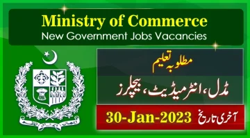 Ministry of Commerce New Government Jobs 2023
